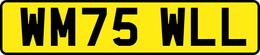 WM75WLL