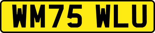 WM75WLU