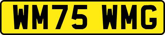 WM75WMG