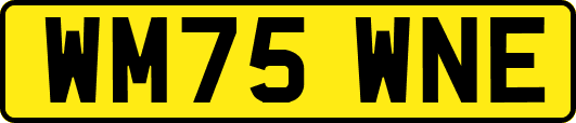 WM75WNE