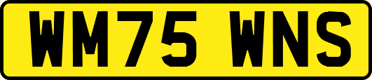 WM75WNS