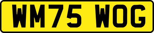 WM75WOG