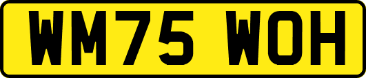 WM75WOH