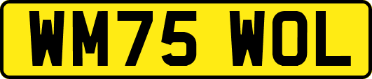 WM75WOL