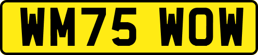 WM75WOW