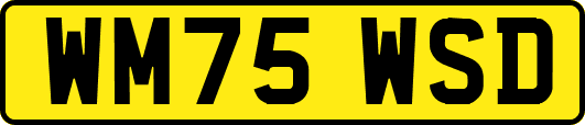 WM75WSD