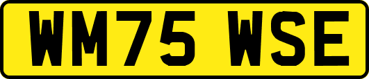 WM75WSE