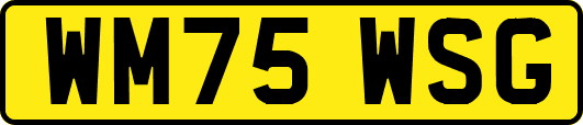 WM75WSG