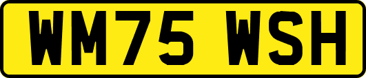WM75WSH