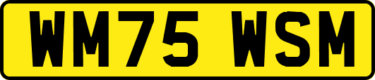 WM75WSM