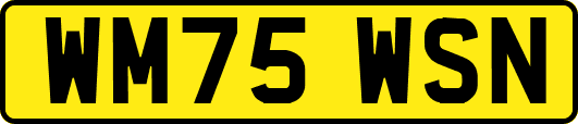 WM75WSN