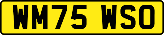 WM75WSO