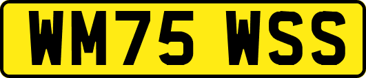 WM75WSS