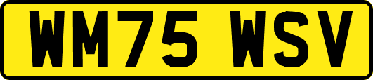 WM75WSV