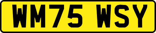 WM75WSY