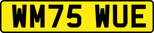 WM75WUE