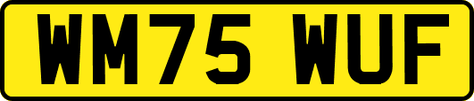 WM75WUF
