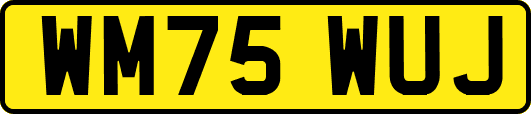 WM75WUJ