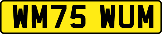 WM75WUM