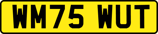 WM75WUT
