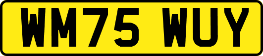 WM75WUY