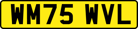 WM75WVL
