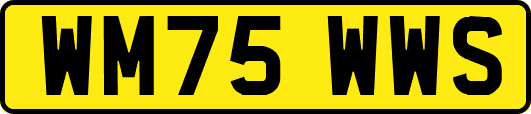WM75WWS