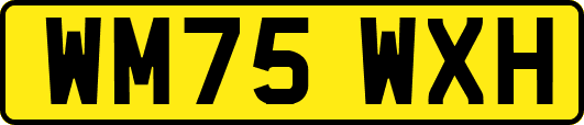 WM75WXH