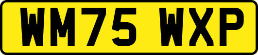 WM75WXP