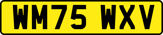 WM75WXV