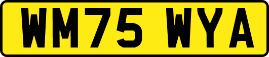 WM75WYA