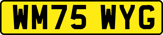 WM75WYG