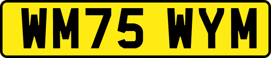 WM75WYM