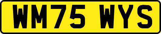 WM75WYS