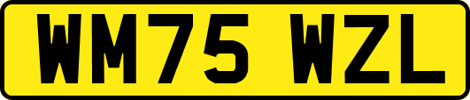 WM75WZL