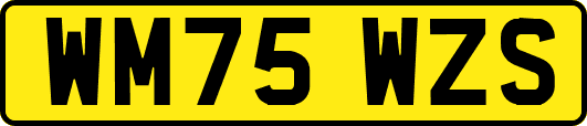WM75WZS