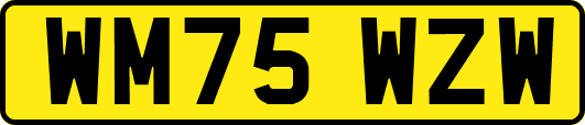 WM75WZW