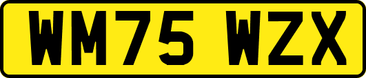 WM75WZX