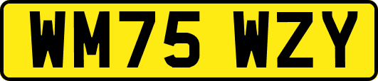WM75WZY