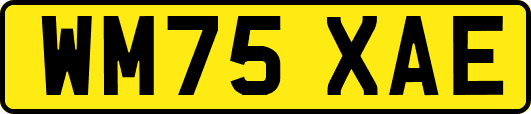 WM75XAE