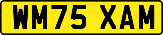 WM75XAM