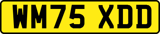 WM75XDD
