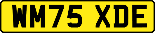 WM75XDE