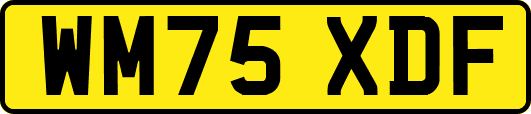 WM75XDF