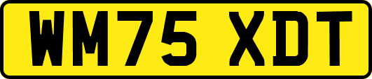 WM75XDT