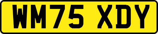 WM75XDY