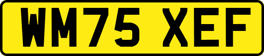 WM75XEF