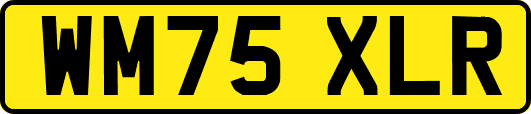 WM75XLR
