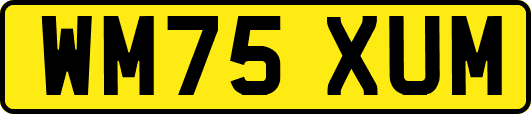 WM75XUM