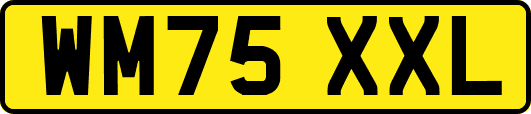 WM75XXL